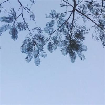 消灭丧尸群手机版下载