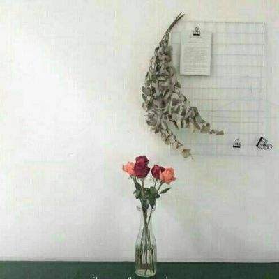 仙帝手机版下载
